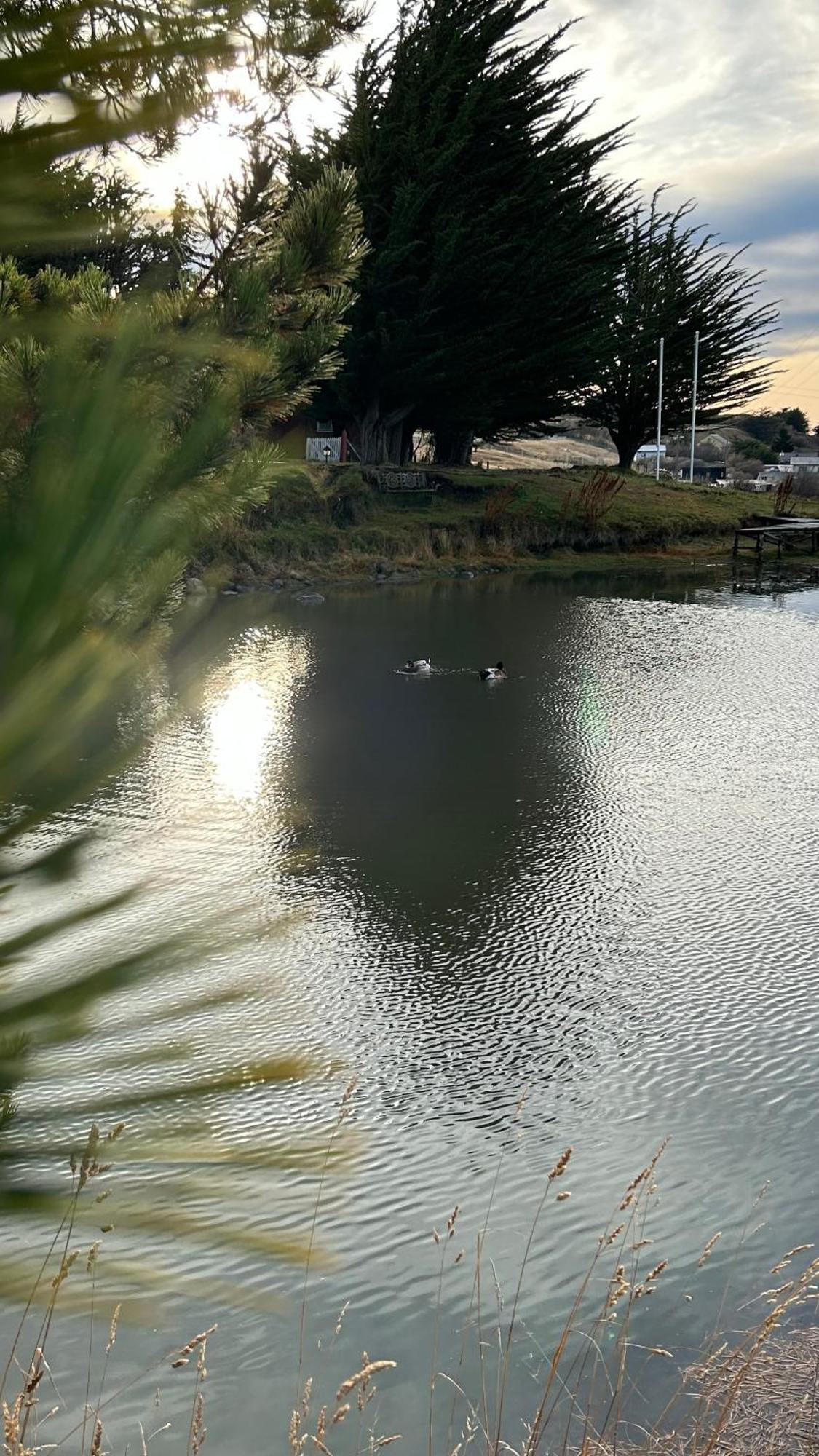 Isla Magdalena * Punta Arenas
